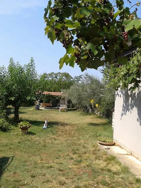 Apartments Miri Zambratija  Zambratija (Istria)