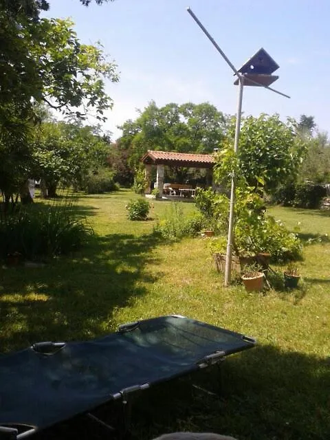 Apartments Miri Zambratija   Zambratija (Istria)